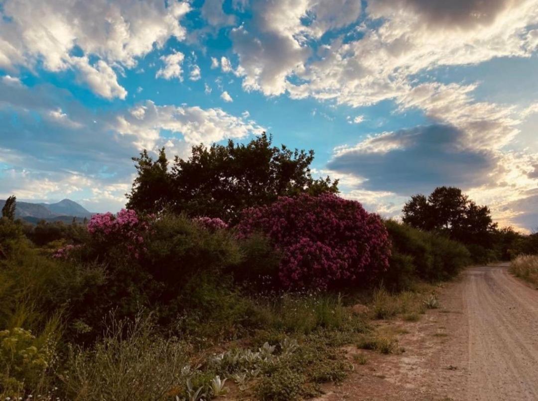 Sol'S Place Mytilíni Dış mekan fotoğraf